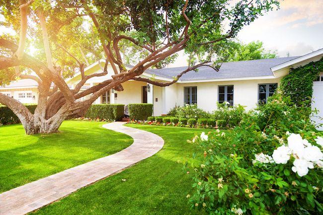 Beautiful home with nice yard.
