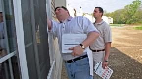 Buyers Beware: Termite Inspection Is a Vital Step